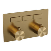 BRAUER Inbouw thermostaten met drukknoppen - 5-GG-156