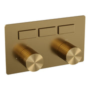 BRAUER Inbouw thermostaten met drukknoppen - 5-GG-356