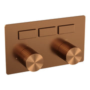 BRAUER Inbouw thermostaten met drukknoppen - 5-GK-356
