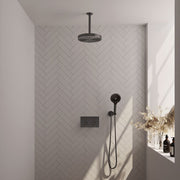 BRAUER Edition Stripe inbouw douchesets met drukknopbediening - 5-GM-423