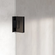 BRAUER Void nisdeur 2-delig helder glas omkeerbaar met draaideur aan muur - keuze uit draaideurbreedtes