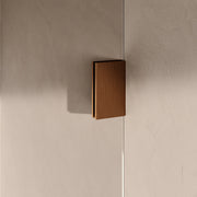 BRAUER Void nisdeur 2-delig helder glas omkeerbaar met draaideur 60 aan glas PVD koper