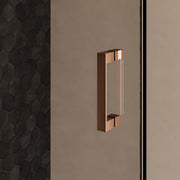BRAUER Void nisdeur 2-delig helder glas omkeerbaar met draaideur 60 aan glas PVD koper