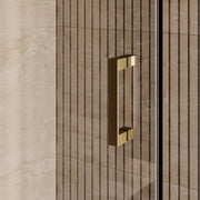 BRAUER Void nisdeur 2-delig helder glas omkeerbaar met draaideur 70 aan glas PVD goud