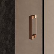 BRAUER Void nisdeur 2-delig helder glas omkeerbaar met draaideur 70 aan glas PVD koper