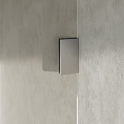 BRAUER Void nisdeur 2-delig helder glas omkeerbaar met draaideur 60 aan glas PVD RVS-kleurig