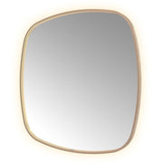 Hotbath Spiegel in aluminium frame / contour incl direct & indirect LED, spiegelverwarming, color changing, dimbaar, dottless, met afstandsbediening
