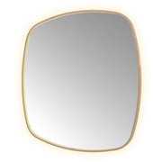Hotbath Spiegel in aluminium frame / contour incl direct & indirect LED, spiegelverwarming, color changing, dimbaar, dottless, met afstandsbediening