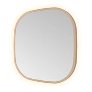 Hotbath Spiegel in aluminium frame / contour incl indirect LED, color changing, dimbaar, dottless, met afstandsbediening