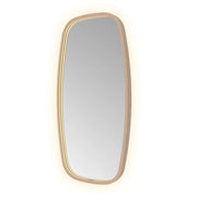 Hotbath Spiegel in aluminium frame / contour incl direct & indirect LED, spiegelverwarming, color changing, dimbaar, dottless, met afstandsbediening