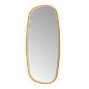 Hotbath Spiegel in aluminium frame / contour incl direct & indirect LED, spiegelverwarming, color changing, dimbaar, dottless, met afstandsbediening