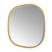 Hotbath Spiegel in aluminium frame / contour incl direct & indirect LED, spiegelverwarming, color changing, dimbaar, dottless, met afstandsbediening