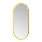 Hotbath Spiegel in aluminium frame / oval incl direct & indirect LED, spiegelverwarming, color changing, dimbaar, dottless, met afstandsbediening