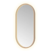 Hotbath Spiegel in aluminium frame / oval incl direct & indirect LED, spiegelverwarming, color changing, dimbaar, dottless, met afstandsbediening