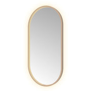 Hotbath Spiegel in aluminium frame / oval incl direct & indirect LED, spiegelverwarming, color changing, dimbaar, dottless, met afstandsbediening