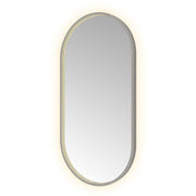 Hotbath Spiegel in aluminium frame / oval incl direct & indirect LED, spiegelverwarming, color changing, dimbaar, dottless, met afstandsbediening