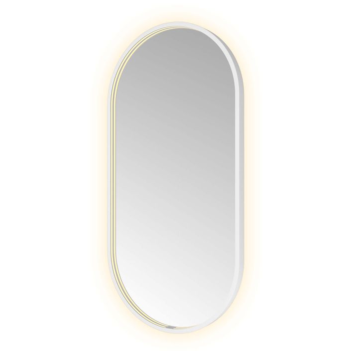Hotbath Spiegel in aluminium frame / oval incl direct & indirect LED, spiegelverwarming, color changing, dimbaar, dottless, met afstandsbediening