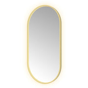 Hotbath Spiegel in aluminium frame / oval incl direct & indirect LED, spiegelverwarming, color changing, dimbaar, dottless, met afstandsbediening