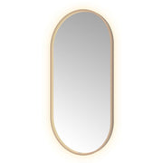 Hotbath Spiegel in aluminium frame / oval incl direct & indirect LED, spiegelverwarming, color changing, dimbaar, dottless, met afstandsbediening