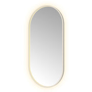 Hotbath Spiegel in aluminium frame / oval incl direct & indirect LED, spiegelverwarming, color changing, dimbaar, dottless, met afstandsbediening