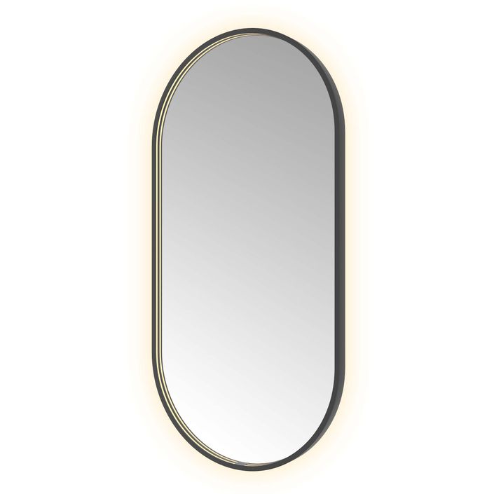Hotbath Spiegel in aluminium frame / oval incl direct & indirect LED, spiegelverwarming, color changing, dimbaar, dottless, met afstandsbediening