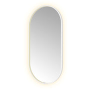 Hotbath Spiegel in aluminium frame / oval incl direct & indirect LED, spiegelverwarming, color changing, dimbaar, dottless, met afstandsbediening
