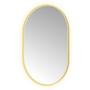 Hotbath Spiegel in aluminium frame / oval incl direct & indirect LED, spiegelverwarming, color changing, dimbaar, dottless, met afstandsbediening