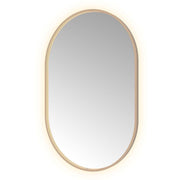 Hotbath Spiegel in aluminium frame / oval incl direct & indirect LED, spiegelverwarming, color changing, dimbaar, dottless, met afstandsbediening