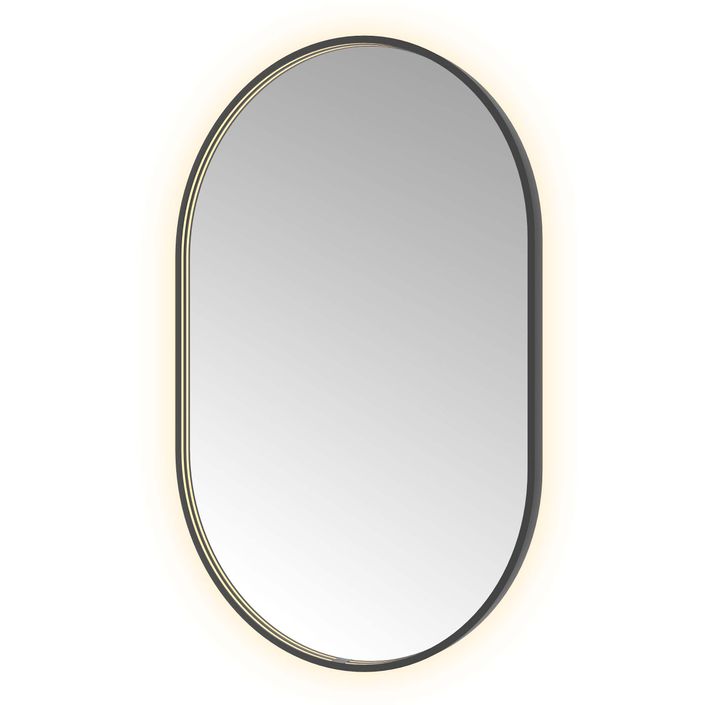 Hotbath Spiegel in aluminium frame / oval incl direct & indirect LED, spiegelverwarming, color changing, dimbaar, dottless, met afstandsbediening