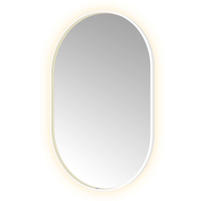Hotbath Spiegel in aluminium frame / oval incl direct & indirect LED, spiegelverwarming, color changing, dimbaar, dottless, met afstandsbediening