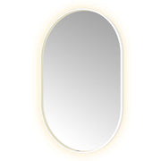 Hotbath Spiegel in aluminium frame / oval incl direct & indirect LED, spiegelverwarming, color changing, dimbaar, dottless, met afstandsbediening