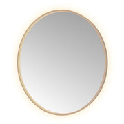 Hotbath Spiegel in aluminium frame / round incl direct & indirect LED, spiegelverwarming, color changing, dimbaar, dottless, met afstandsbediening