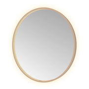 Hotbath Spiegel in aluminium frame / round incl direct & indirect LED, spiegelverwarming, color changing, dimbaar, dottless, met afstandsbediening